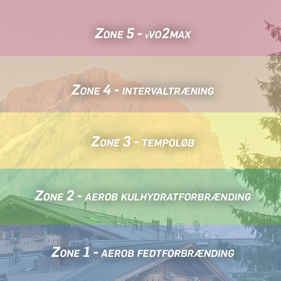 Leverpostejstræning og løb