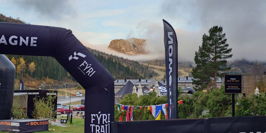 Trimalleolær fraktur: Fjernelse af plade og skruer