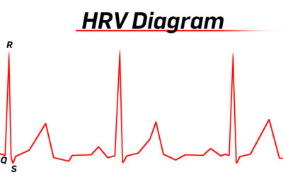 Guide: HRV-status – en indikator for restitution?